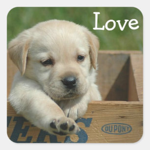 Liebe Labrador Retriever Welpe Aufkleber / Etikett