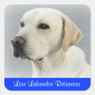 Liebe Labrador Retriever Welpen Hund Aufkleber