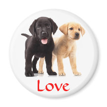 Liebe Labrador Retriever Welppies Kühlschrankmagne