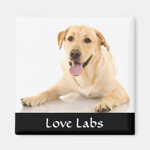 Liebe Labrador "Yellow Labrador Retreiver" Magnet