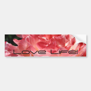Liebe Leben! Autoaufkleber Rosa Sommer-Rosenblume
