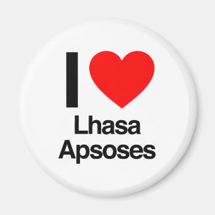 Liebe lhasa apsoses magnet