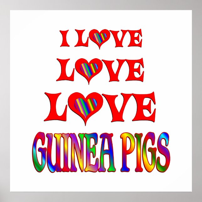 Liebe Liebe Guinea Schweine Poster (Vorne)
