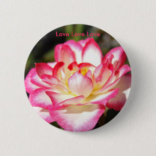 Liebe Liebe Liebe Knopf Farbige Rosa Weiße Rose Button