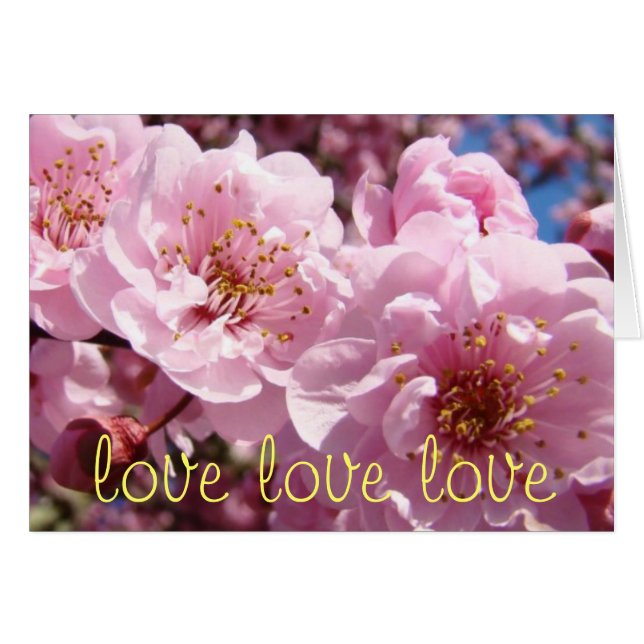 Liebe-Liebe-Liebe Sie Sie Sie Karten Valentines (Vorderseite (Horizontal))