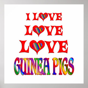 Liebe-Liebe-Meerschweinchen Poster
