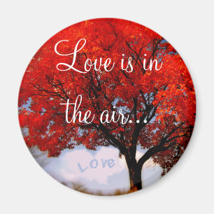 Liebe liegt in der Luft... Magnet