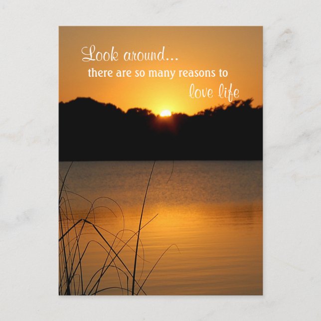Liebe Life schätzt Inspiration Motivation Zitat Postkarte (Vorderseite)