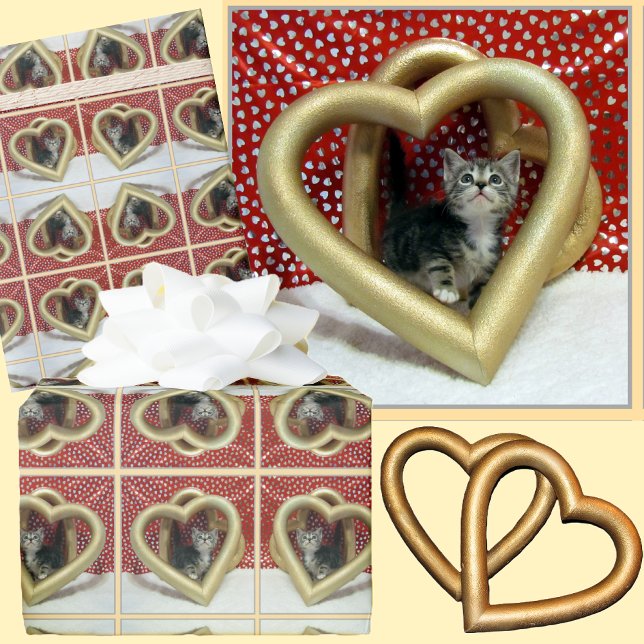 Liebe, Lilo - Adorable Cat / Kitten Packpapier (Von Creator hochgeladen)