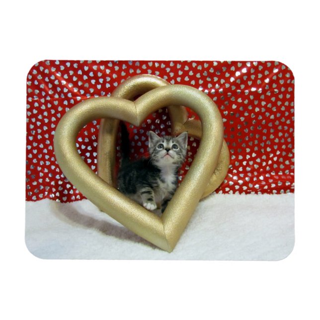 Liebe, Lilo - Herzkatze / Kitten Magnet (Horizontal)