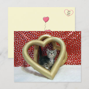 Liebe, Lilo - Katze / Kätzchenherz Postkarte