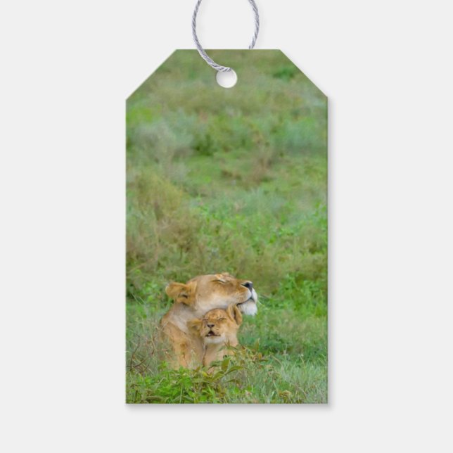 Liebe Lioness & Baby Geschenkmarke Geschenkanhänger (Vorderseite)