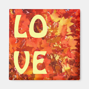 LIEBE Magnete Orange Red Yellow Blätter kundenspez Magnet