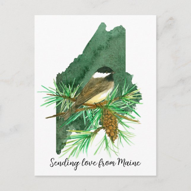 Liebe Maine Chickadee Pinecone Tassel Postkarte (Vorderseite)