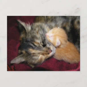 Liebe Mama Postkarte