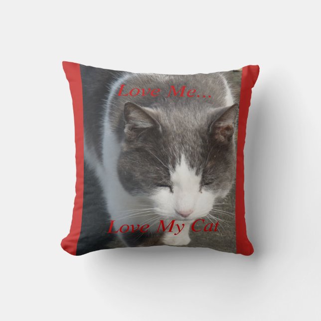 Liebe Me Liebe meine Katze Kissen (Vorderseite)