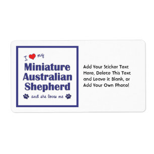 Liebe mein australischer Miniaturschäfer