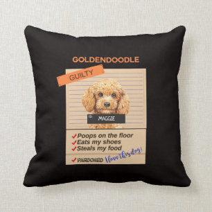Liebe mein Goldendoodle trotz schlechter Gewohnhei Kissen