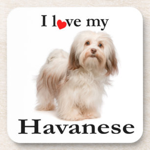 Liebe mein Havanese Untersetzer-Set Untersetzer