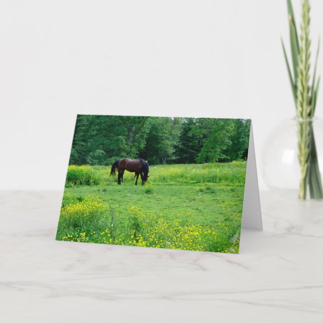 LIEBE MEIN HORSIE! KARTE (Vorderseite)