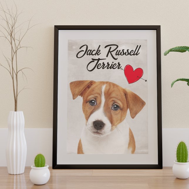 Liebe Mein Jack Russell Terrier Poster (Von Creator hochgeladen)