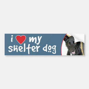 Liebe mein Schutz-Hundebelgier-Schäferhund Autoaufkleber