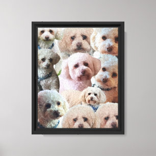 Liebe Meine Poodle Leinwand