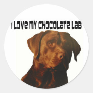 Liebe meine Schokoladen-Labradoraufkleber Runder Aufkleber