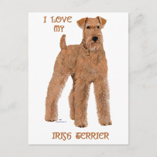 Liebe meinen irischen Terrier Postkarte