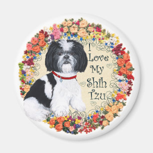 Liebe meinen Shih Tzu Magnet