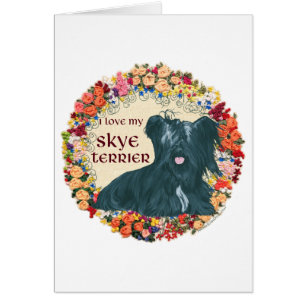 Liebe meinen Skye Terrier