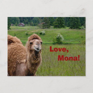 Liebe, Mona-Postkarte Postkarte