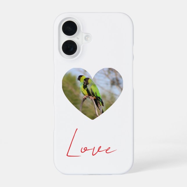 Liebe - Mönchssittich-Paar iPhone 16 Hülle (Rückseite)