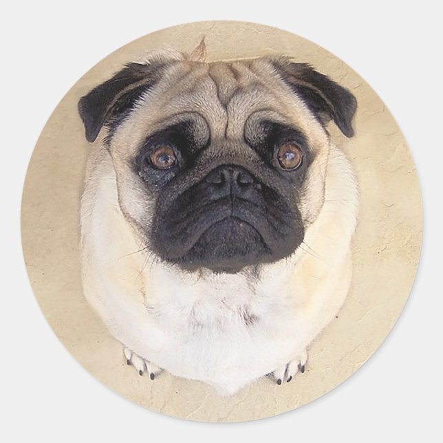 Liebe Mops Welpen-Hundekleber / Siegel Runder Aufkleber (Vorderseite)