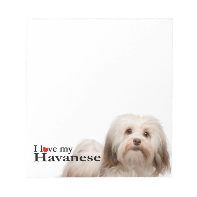 Liebe My Havanese Notepad Notizblock (Vorderseite)