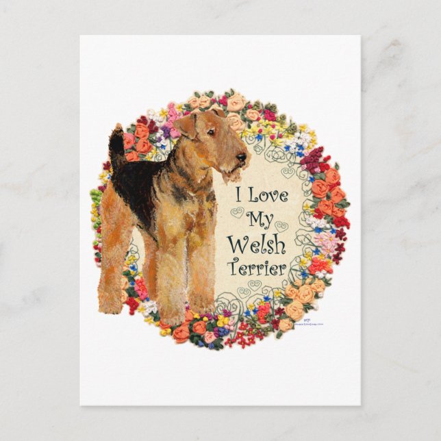 Liebe My Welsh Terrier Postkarte (Vorderseite)