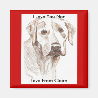 Liebe Nan, Liebe von Claire Magnet