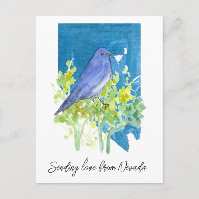 Liebe Nevada Bluebird Sagebrush Postkarte (Vorderseite)