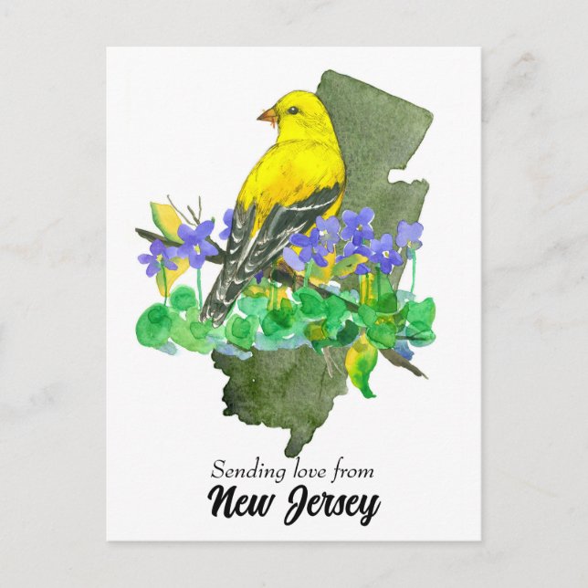Liebe New Jersey Goldfinch Violets senden Postkarte (Vorderseite)