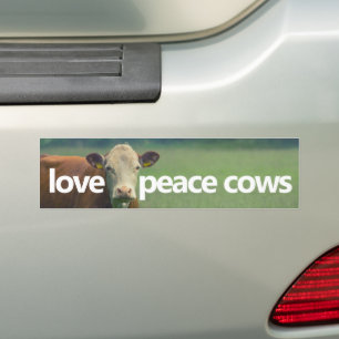 Liebe Peace Cows Autoaufkleber