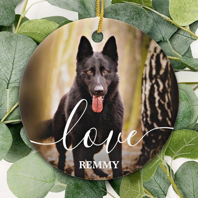 Liebe Personalisiert 2 Foto Dog Pet Memorial Keramik Ornament (Von Creator hochgeladen)