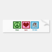 Liebe Pit Bull