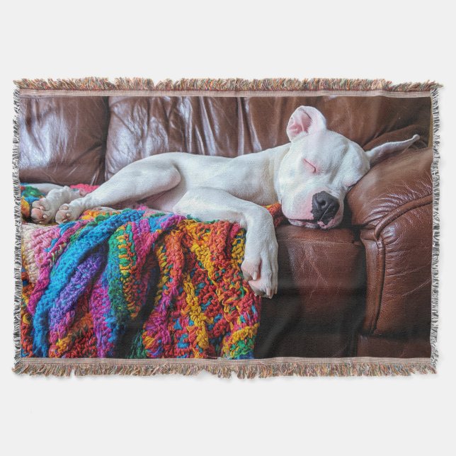 Liebe Pitbull Hund Schlafen auf dem Sofa Decke (Vorderseite)