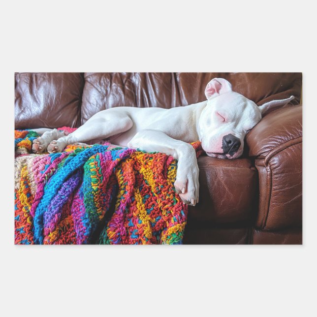 Liebe Pitbull Hund Schlafen auf dem Sofa Rechteckiger Aufkleber (Vorderseite)