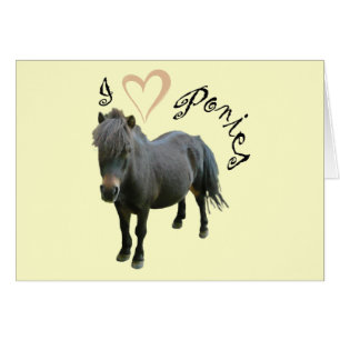 Liebe Ponies