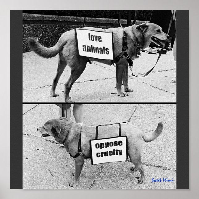 Liebe Poster (Vorne)