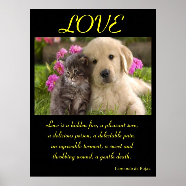 LIEBE Poster Tier 1 (Vorne)