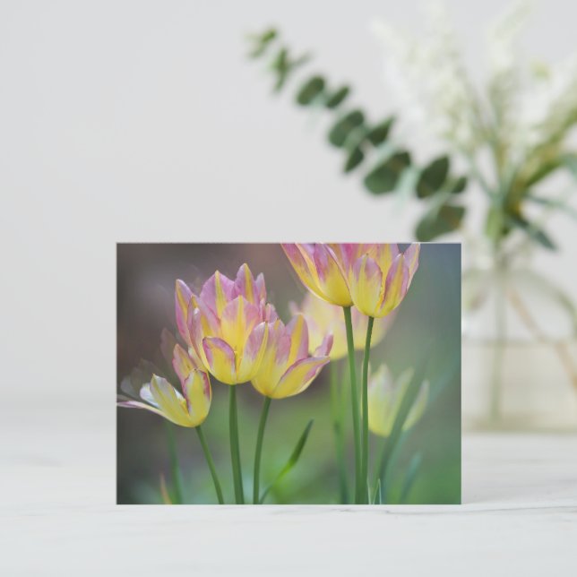 Liebe Postkarte (Stehend Vorderseite)