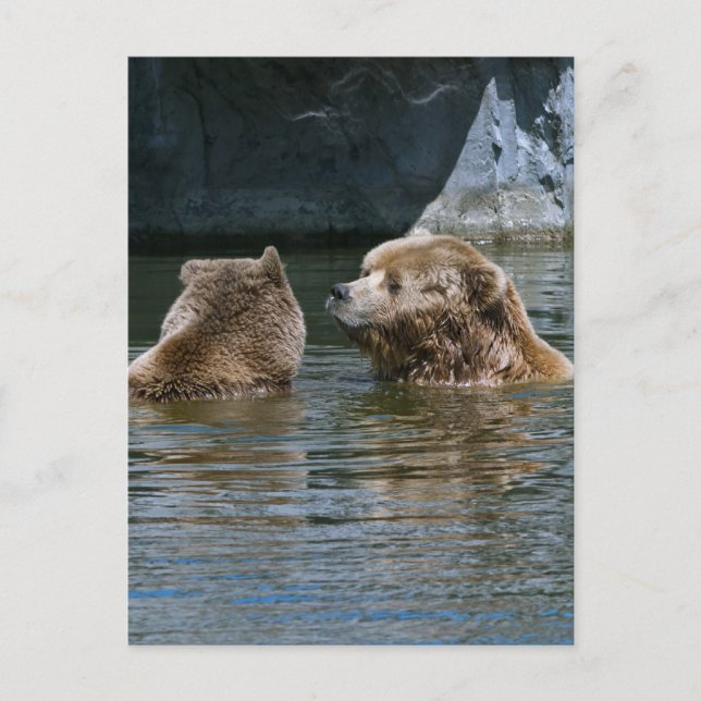 Liebe Postkarte (Vorderseite)