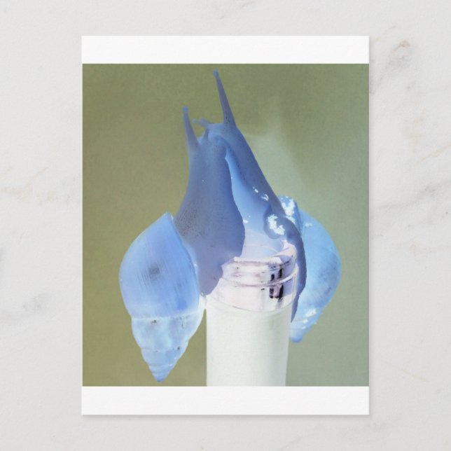 Liebe Postkarte (Vorderseite)